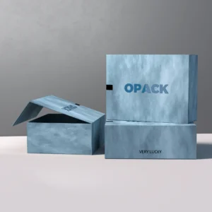 Artistic Paper with 2c-Printing and Logo UV Folding Gift Box