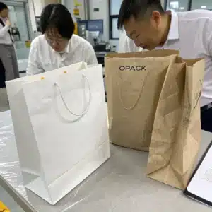 comparison-between two paper shopping bag