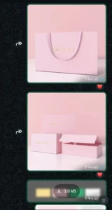 WhatsApp screenshot of Bellucci pink shopping‑bag and gift‑box 3‑D renders approved by client