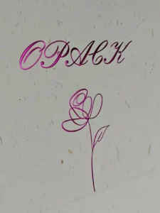 Premium Eco-conscious Paper Bags for Fashion & Apparel Brands