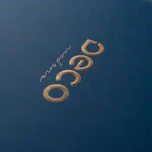 Blue Artistic Paper with hot stamping magnetic gift box