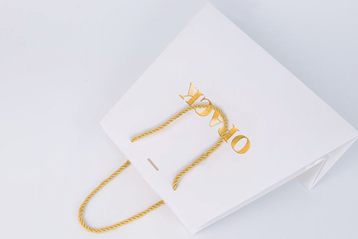 Silk ribbon handle luxury paper shopping bag
