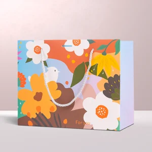 Main Photo 4c printing Clothing Shopping Bag packaging